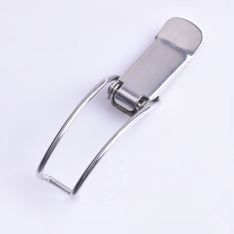 Spring-Loaded Toggle Latch .jpg